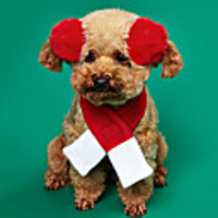Dog Cat Bandanas Hats Christmas Costume Santa Claus Santa Claus Classic Cosplay Christmas Winter Dog Clothes Puppy Clothes Dog Outfits Breathable Red Costume for Girl and Boy Dog Polyster S M L