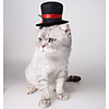 Dog Cat Bandanas Hats Christmas Costume Santa Claus Santa Claus Classic Cosplay Funny Christmas Party Winter Dog Clothes Puppy Clothes Dog Outfits Adjustable Black Costume for Girl and Boy Dog