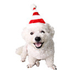 Dog Cat Bandanas Hats Christmas Costume Santa Claus Santa Claus Classic Cosplay Funny Christmas Party Winter Dog Clothes Puppy Clothes Dog Outfits Adjustable Red Costume for Girl and Boy Dog