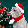 Dog Cat Bandanas Hats Christmas Costume Santa Claus Santa Claus Classic Cosplay Funny Christmas Party Winter Dog Clothes Puppy Clothes Dog Outfits Adjustable Red Costume for Girl and Boy Dog