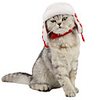 Dog Cat Bandanas Hats Christmas Costume Santa Claus Santa Claus Classic Cosplay Funny Christmas Party Winter Dog Clothes Puppy Clothes Dog Outfits Adjustable Red Costume for Girl and Boy Dog Fleece