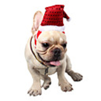 Dog Cat Bandanas Hats Christmas Costume Santa Claus Santa Claus Classic Cosplay Funny Christmas Party Winter Dog Clothes Puppy Clothes Dog Outfits Adjustable Red Costume for Girl and Boy Dog Fleece