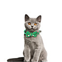 Dog Cat Bandanas Hats Christmas Costume Tie / Bow Tie Santa Claus Snowman Gingerbread Men Santa Claus Classic Cosplay Funny Christmas Party Winter Dog Clothes Puppy Clothes Dog Outfits Adjustable