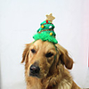 Dog Cat Bandanas Hats Christmas Party Cute Christmas Party Dog Clothes Breathable Green Costume Polyster S L / Halloween