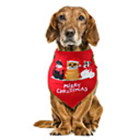 Dog Cat Bandanas Hats Dog Bandana Dog Bibs Scarf Cartoon Character Casual / Sporty Cute Christmas Sports Dog Clothes Adjustable White / Red Red / Green Red Costume Polyster