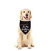 Dog Cat Bandanas Hats Dog Bandana Dog Bibs Scarf Cartoon Letter Number Casual / Sporty Cute Birthday Sports Dog Clothes Adjustable Black Costume Cotton Polyster