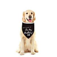 Dog Cat Bandanas Hats Dog Bandana Dog Bibs Scarf Cartoon Letter Number Casual / Sporty Cute Birthday Sports Dog Clothes Adjustable Black Costume Cotton Polyster