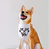 Dog Cat Bandanas Hats Dog Bandana Dog Bibs Scarf Cartoon Letter Number Party Cute Wedding Party Dog Clothes Adjustable White Costume Cotton Polyster