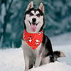 Dog Cat Bandanas Hats Dog Bandana Dog Bibs Scarf Cartoon Party Cute Christmas Party Dog Clothes Adjustable Red Blue Costume Cotton