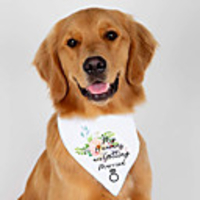 Dog Cat Bandanas Hats Dog Bandana Dog Bibs Scarf Floral Botanical Letter Number Party Cute Wedding Party Dog Clothes Adjustable White Costume Polyster / Birthday / Birthday