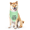Dog Cat Bandanas Hats Dog Bandana Dog Bibs Scarf Letter Number Casual / Sporty Cute Party Sports Dog Clothes Adjustable Green Costume Cotton Polyster