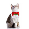 Dog Cat Bandanas Hats Dog Scarf Christmas Costume Santa Claus Santa Claus Classic Cosplay Christmas Party Winter Dog Clothes Puppy Clothes Dog Outfits Adjustable Red and White White Costume for