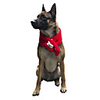 Dog Cat Bandanas Hats Dog Scarf Christmas Costume Santa Claus Santa Claus Classic Cosplay Christmas Party Winter Dog Clothes Puppy Clothes Dog Outfits Adjustable Red Green Gray Costume for Girl and