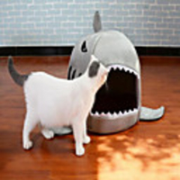 Dog Cat Bed Solid Colored Cartoon Portable Breathable Folding Cute Fabric 5050 cm