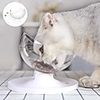 Dog Cat Bowls Water Bottles / Feeders 0.41 L Plastic Casual Transparent White Pink Blue Bowls Feeding