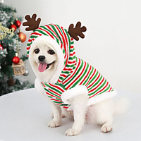 Dog Cat Christmas Costume Elk Merry Christmas Deer Adorable Cute Christmas Dailywear Winter Dog Clothes Puppy Clothes Dog Outfits Breathable Red / Green Costume for Girl and Boy Dog Polyester XS S M miniinthebox