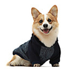 Dog Cat Coat Hoodie Color Block Casual / Sporty Fashion Casual / Daily Winter Dog Clothes Breathable Blue Costume Cotton XS S M L XL XXL