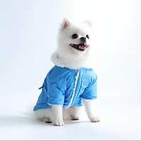 Dog Cat Coat Solid Colored Cute Casual / Daily Winter Dog Clothes Puppy Clothes Dog Outfits Blue Costume for Girl and Boy Dog Polyester One-Size miniinthebox
