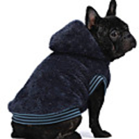 Dog Cat Coat Sweater Solid Colored Casual / Sporty Fashion Casual / Daily Winter Dog Clothes Breathable Dark Blue Costume Cotton XS S M L XL XXL