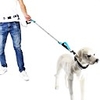 Dog Cat Collar Leash Retractable Anti Lost Escape Proof Solid Colored Polyester Husky Labrador Golden Retriever Japanese Spitz Beagle Bulldog Yellow Blue 1 set
