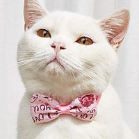 Dog Cat Collar Ornaments Tie / Bow Tie Bowknot Embroidered Cute Sweet Wedding Party Valentine