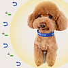 Dog Cat Collar Soft Other Polyester