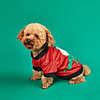 Dog Cat Costume Christmas Costume Santa Claus Santa Claus Classic Cosplay Christmas Winter Dog Clothes Puppy Clothes Dog Outfits Warm Red Costume for Girl and Boy Dog Polyster XS S M L
