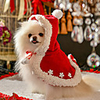 Dog Cat Costume Christmas Costume Santa Claus Santa Claus Classic Cosplay Funny Christmas Party Winter Dog Clothes Puppy Clothes Dog Outfits Breathable Red Costume for Girl and Boy Dog Cotton M