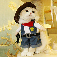 Dog Cat Costume Cosplay Cute Dailywear Casual / Daily Dog Clothes Puppy Clothes Dog Outfits Breathable Blue Brown Dark Blue Costume for Girl and Boy Dog Polyester S M L XL miniinthebox