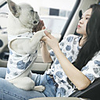 Dog Cat Costume Shirt / T-Shirt Matching Outfits Cartoon Casual / Sporty Animal Sports Casual / Daily Dog Clothes Puppy Clothes Dog Outfits Breathable Yellow Blue Pink Costume for Girl and Boy Dog