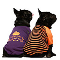 Dog Cat Costume T-shirts Pumpkin Casual / Sporty Cool Casual / Daily Dog Clothes Breathable Purple Yellow Costume Cotton XS S M L XL XXL