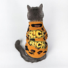 Dog Cat Dog clothes Leopard Cute Sweet Dailywear Casual / Daily Dog Clothes Puppy Clothes Dog Outfits Breathable Yellow Costume for Girl and Boy Dog Fleece XXS XS S M L XL miniinthebox