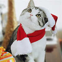 Dog Cat Dog Scarf Christmas Elegant Adorable Cute Christmas Dailywear Dog Clothes Puppy Clothes Dog Outfits Breathable Red Costume for Girl and Boy Dog Cotton S M L miniinthebox