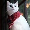 Dog Cat Dog Scarf Puppy Clothes Simple Keep Warm Warm Ups Cute Winter Dog Clothes Puppy Clothes Dog Outfits Warm Costume for Girl and Boy Dog Acrylic Fibers S L