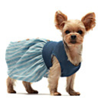 Dog Cat Dress Color Block Elegant Sweet Wedding Party Dog Clothes Breathable Light Blue Costume Cotton XXS XS S M L