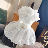 Dog Cat Dress Floral / Botanical Daisy Elegant Adorable Cute Dailywear Casual / Daily Dog Clothes Puppy Clothes Dog Outfits Breathable White Costume for Girl and Boy Dog Fabric XS S M miniinthebox