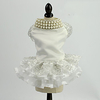 Dog Cat Dress Floral / Botanical Daisy Elegant Adorable Cute Dailywear Casual / Daily Dog Clothes Puppy Clothes Dog Outfits Breathable White Costume for Girl and Boy Dog Polyester XS S M L XL miniinthebox