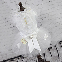 Dog Cat Dress Floral / Botanical Daisy Elegant Adorable Cute Dailywear Casual / Daily Dog Clothes Puppy Clothes Dog Outfits Breathable White Yellow Blue Costume for Girl and Boy Dog Polyester XS S M miniinthebox
