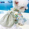Dog Cat Dress Graphic Bowknot Adorable Cute Dailywear Casual / Daily Dog Clothes Puppy Clothes Dog Outfits Soft Light Green Costume for Girl and Boy Dog Polyester XS S M L XL miniinthebox
