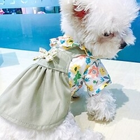 Dog Cat Dress Graphic Bowknot Adorable Cute Dailywear Casual / Daily Dog Clothes Puppy Clothes Dog Outfits Soft Light Green Costume for Girl and Boy Dog Polyester XS S M L XL miniinthebox