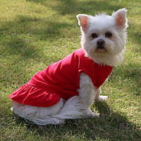 Dog Cat Dress Puppy Clothes Dog clothes Simple Princess Princess Cute Sweet Dailywear Casual / Daily Dog Clothes Puppy Clothes Dog Outfits Breathable White Black Purple Costume for Girl and Boy Dog miniinthebox