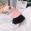 Dog Cat Dress Solid Colored Sweet Style Elegant Adorable Casual / Daily Dog Clothes Puppy Clothes Dog Outfits Breathable Red Costume for Girl and Boy Dog Cotton S M L XL