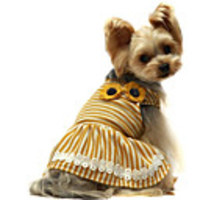 Dog Cat Dress T-shirts Flower Casual / Sporty Sweet Casual / Daily Dog Clothes Breathable Yellow Costume Cotton XXS XS S M L