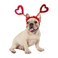 Dog Cat Hair Accessories Bandanas Hats Christmas Costume Santa Claus Elk Santa Claus Cosplay Funny Christmas Party Winter Dog Clothes Puppy Clothes Dog Outfits Adjustable Red Costume for Girl and