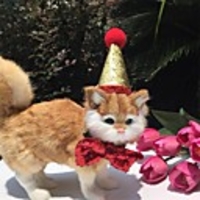 Dog Cat Hair Accessories Bandanas Hats Christmas Costume Santa Claus Santa Claus Classic Cosplay Funny Christmas Party Winter Dog Clothes Puppy Clothes Dog Outfits Adjustable Red Costume for Girl