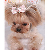 Dog Cat Hair Accessories Puppy Clothes Bowknot Crystal / Rhinestone Lace Stylish Casual / Daily Dog Clothes Puppy Clothes Dog Outfits Yellow Blue Pink Costume for Girl and Boy Dog Fabric