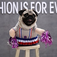 Dog Cat Halloween Costumes Costume Dress Stripes Cheerleader Cosplay Cute Christmas Party Dog Clothes Puppy Clothes Dog Outfits Breathable Pink Costume for Girl and Boy Dog Polyester S M L XL miniinthebox