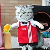 Dog Cat Halloween Costumes Costume Shirt / T-Shirt Letter Number Fast Food Cosplay Cool Christmas Party Dog Clothes Breathable Red Costume Polyester S M L XL