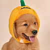 Dog Cat Halloween Costumes Dog Bandana Dog Hat Dog Birthday Bandana Hat Pumpkin Animals Party Halloween Dog Clothes Yellow Costume Polyester One-Size