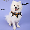 Dog Cat Halloween Costumes Dog Bandana Dog Hat Dog Birthday Bandana Hat Skull Birthday Reversible Party Halloween Dog Clothes Double-Sided Yellow Costume Polyester One-Size